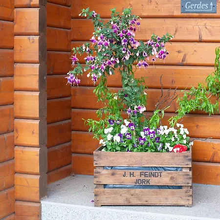 Entenhaus * Hilgendorf