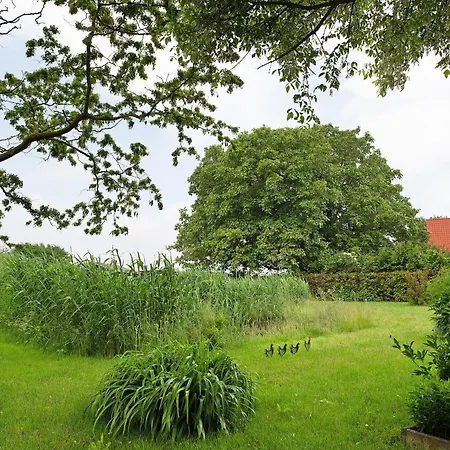 Entenhaus Daire Hilgendorf